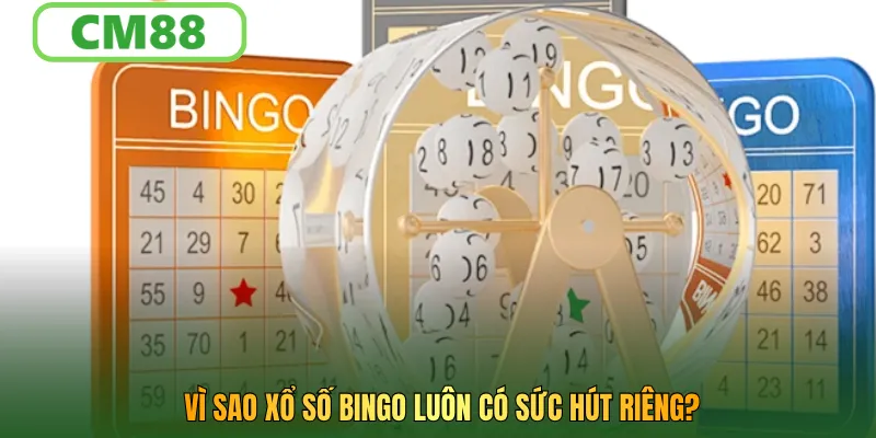 Vì sao Xổ số bingo luôn có sức hút riêng?
